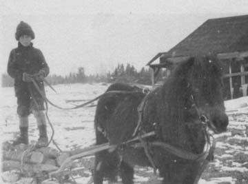 Boy and pony with logging sled