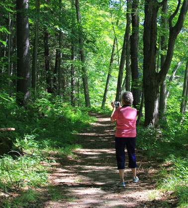 Hiking in the woods around Stockbridge, MA