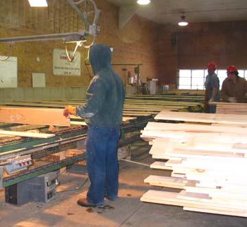Sorting room in a sawmill